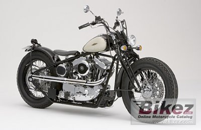 2009 Road Hopper Type 2 photo